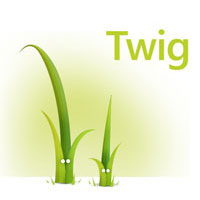 Twig